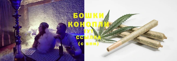 тгк Арсеньев