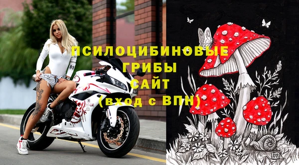 тгк Арсеньев