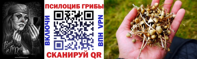 Галлюциногенные грибы мухоморы  закладка  Бабаево 